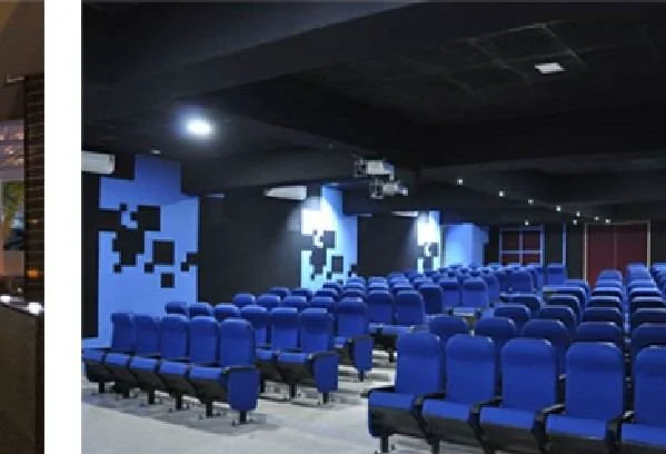 Institutional Auditorium & PA — completed Axial Infotech project photograph